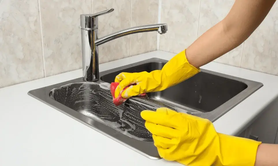 Kitchen Reguler Cleaning