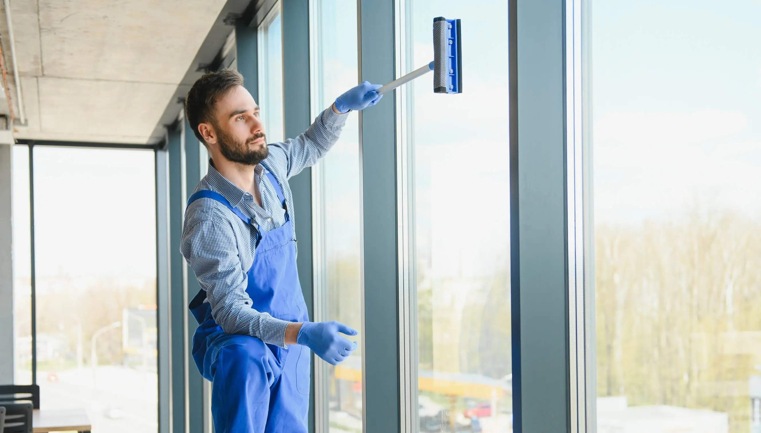 Full Window Cleaning