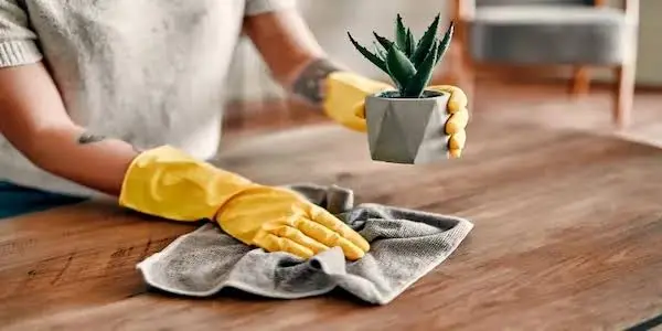 Reguler Furniture Dusting