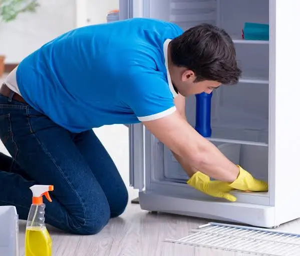 Refrigerator Cleaning