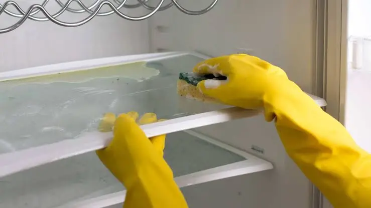Refrigerator Cleaning